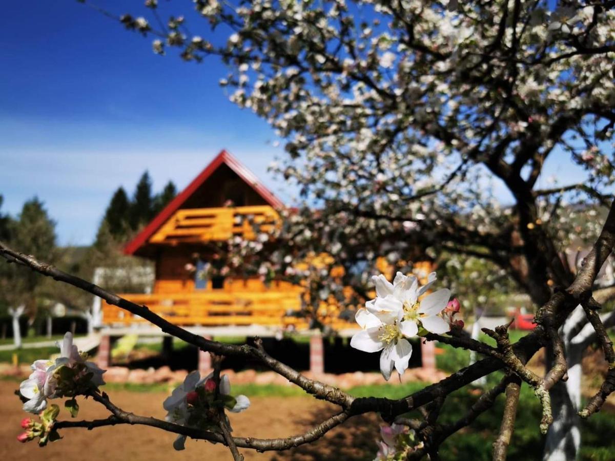 Wooden House "Una" Kulen Vakuf Esterno foto