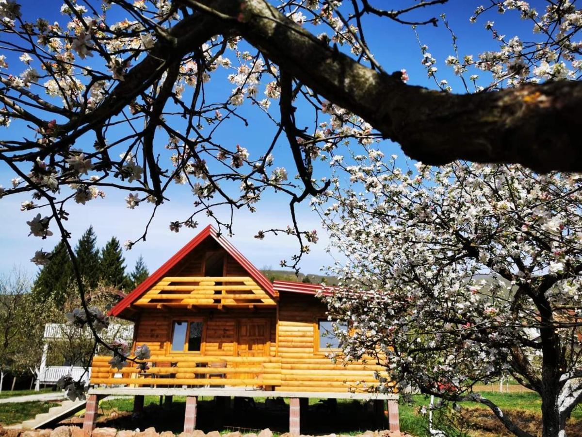 Wooden House "Una" Kulen Vakuf Esterno foto